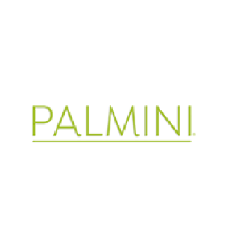 Palmini